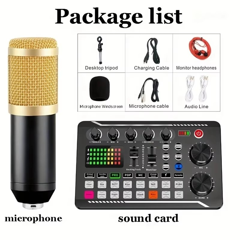 コンデンサーマイクプロフェッショナルマイクワイヤレス Blu - Audio Music Voice Changer のレビューと価格