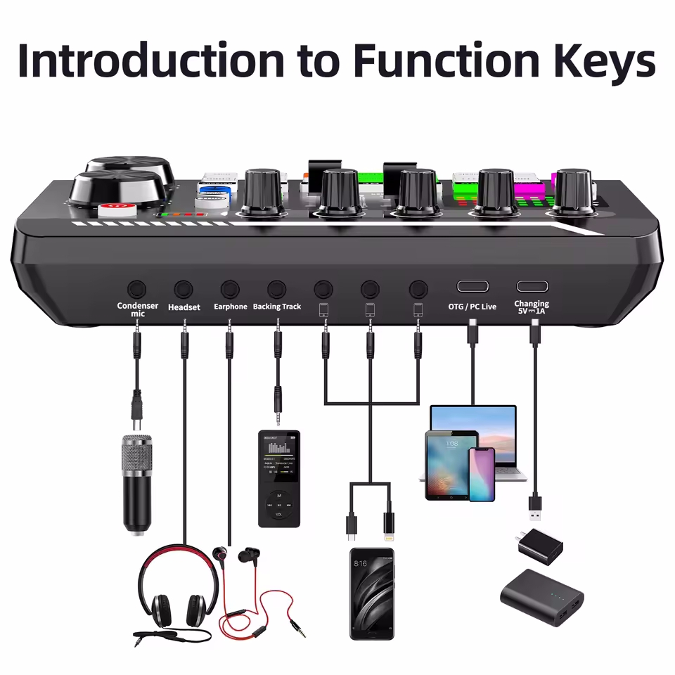コンデンサーマイクプロフェッショナルマイクワイヤレス Blu - Audio Music Voice Changer のレビューと価格